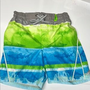 Colorful Kids Swim Shorts